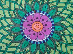 whatsapp image 2025-12-25 at 11.26.55